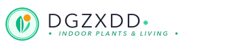 dgzxdd.com
