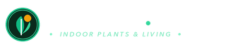 dgzxdd.com